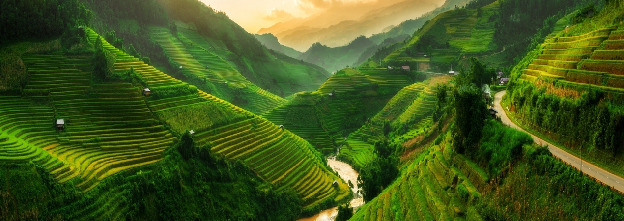 Fuerte incremento del crédito comercial en Vietnam