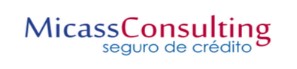 MICASS CONSULTING - AGENCIA EXCLUSIVA - VALENCIA, CASTELLON, MURCIA, ZARAGOZA, MADRID, CUENCA