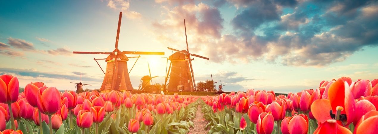 A taxa de incumprimento das transações B2B nos Países Baixos é de 7% 