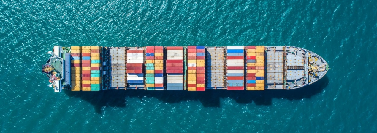 El número de exportadores creció un 2,5% en 2019
