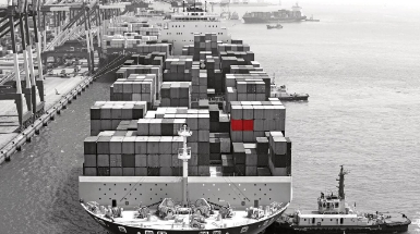 Conxemar 2024
