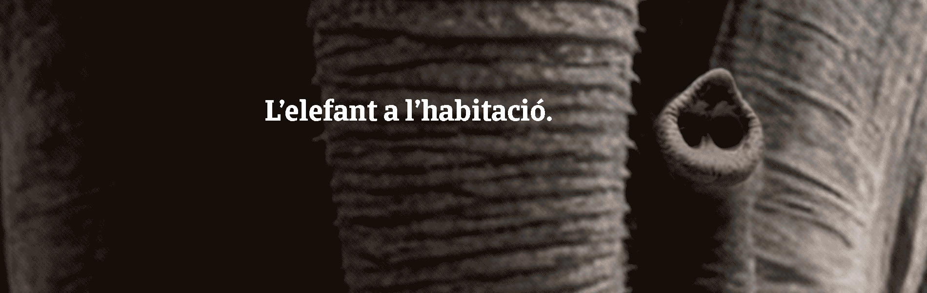 L'elefant a l'habitació. És allò de què no es parla. Com un impagament - Contacta amb nosaltres.