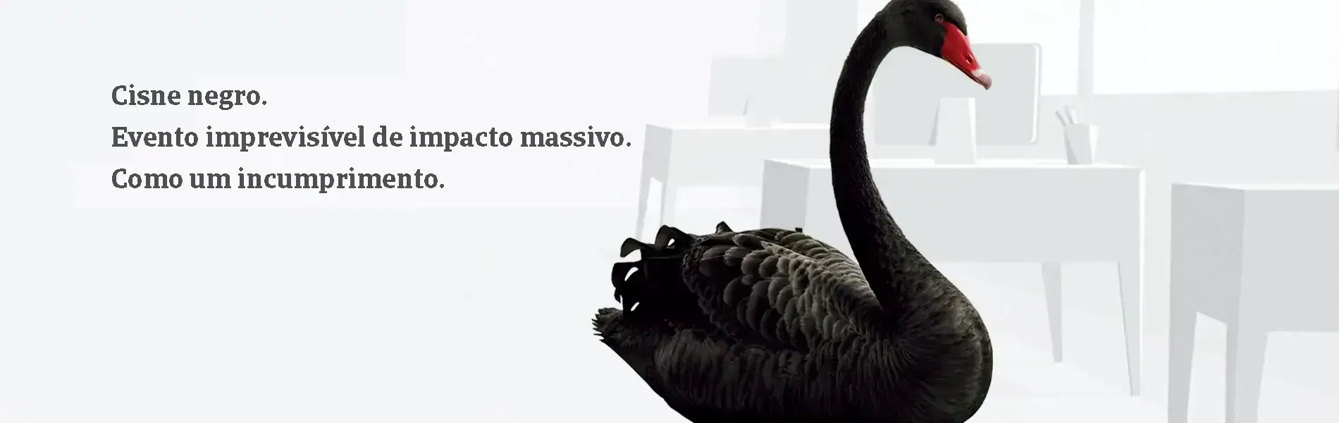 Cisne negro. Evento imprevisível de impacto massivo. Como um incumprimento - Contate-nos